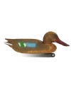 Forme de canard souchet femelle Stepland 