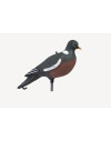 Forme de pigeon ramier HD Stepland 