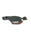 Forme de pigeon 1/2 coque HD Stepland 