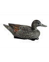 Forme de canard pilet femelle HD  Stepland 