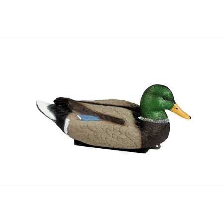 Forme de canard colvert magnum male Stepland 