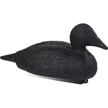 Forme d'eider noir Stepland 