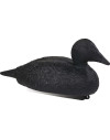 Forme d'eider noir Stepland 