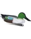 Forme de canard souchet male mousse Stepland 