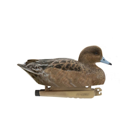 Forme de canard siffleur femelle ultra HD mousse Stepland 