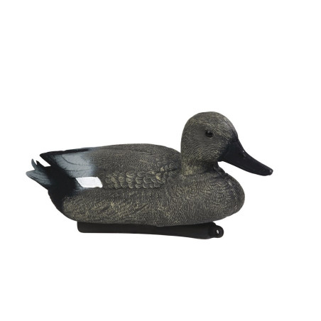 Forme de canard chipeau male Stepland 