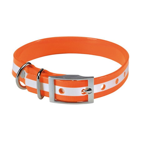 Collier chien phosphorescent 45 cm stepland 