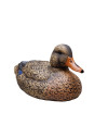 Forme de canard colvert femelle ultra HD mousse Stepland 