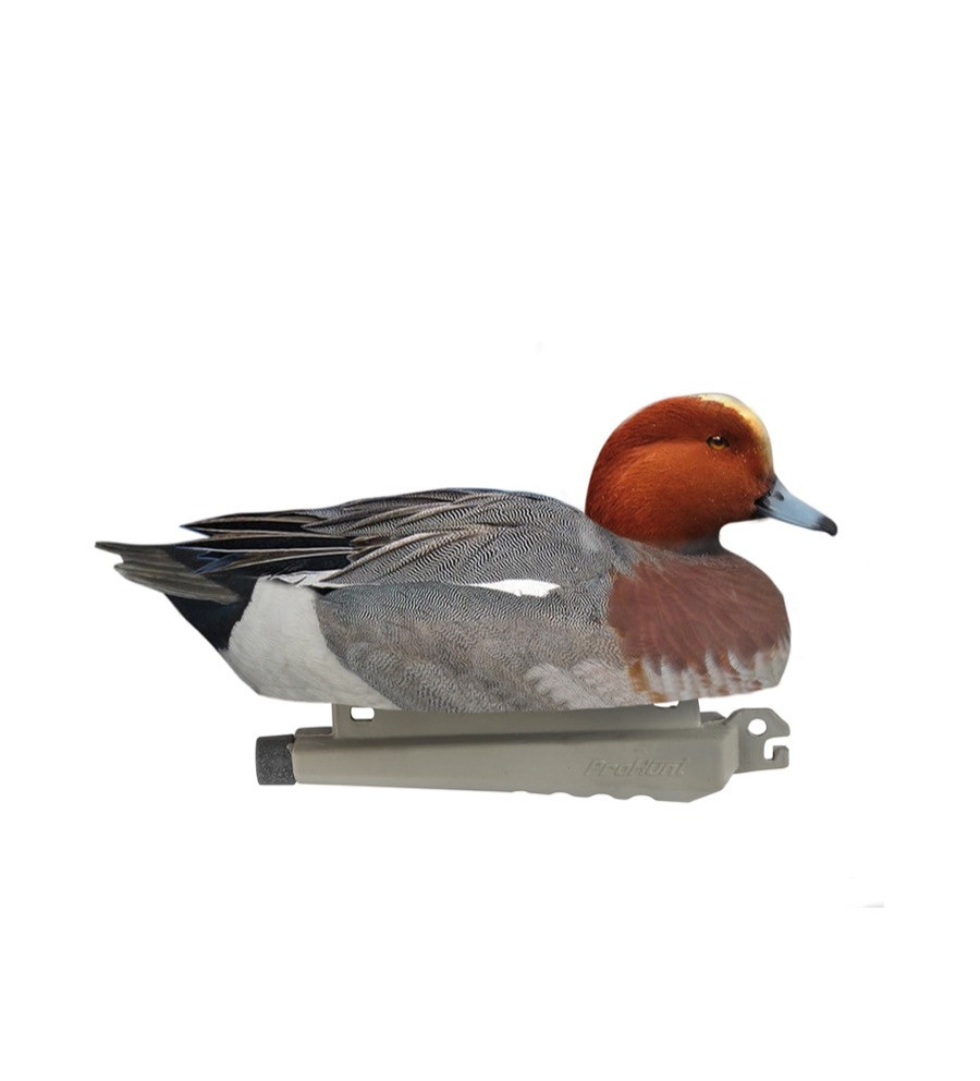 Forme de canard siffleur male ultra HD mousse Stepland 