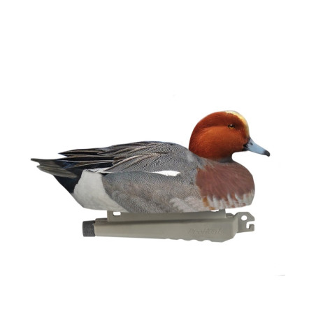 Forme de canard siffleur male ultra HD mousse Stepland 