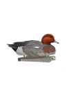 Forme de canard siffleur male ultra HD mousse Stepland 