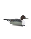 Forme de canard pilet male Stepland 