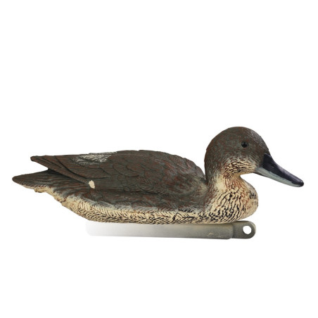 Forme de canard pilet femelle mousse Stepland