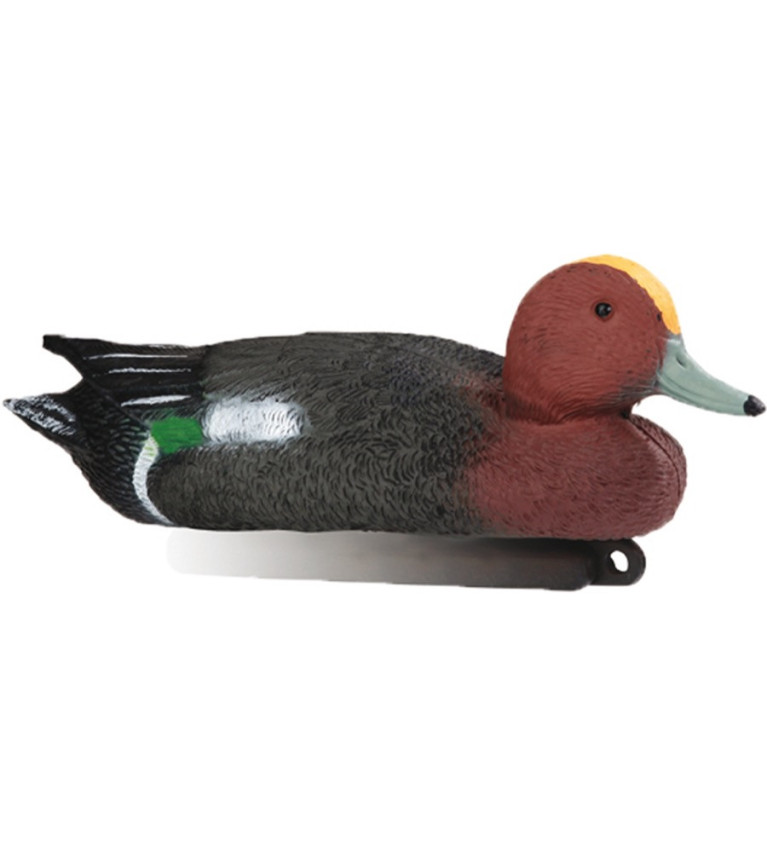 Forme de canard siffleur male mousse Stepland