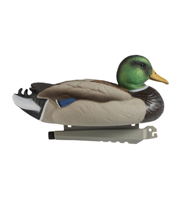 Forme de canard colvert male ultra HD mousse Stepland