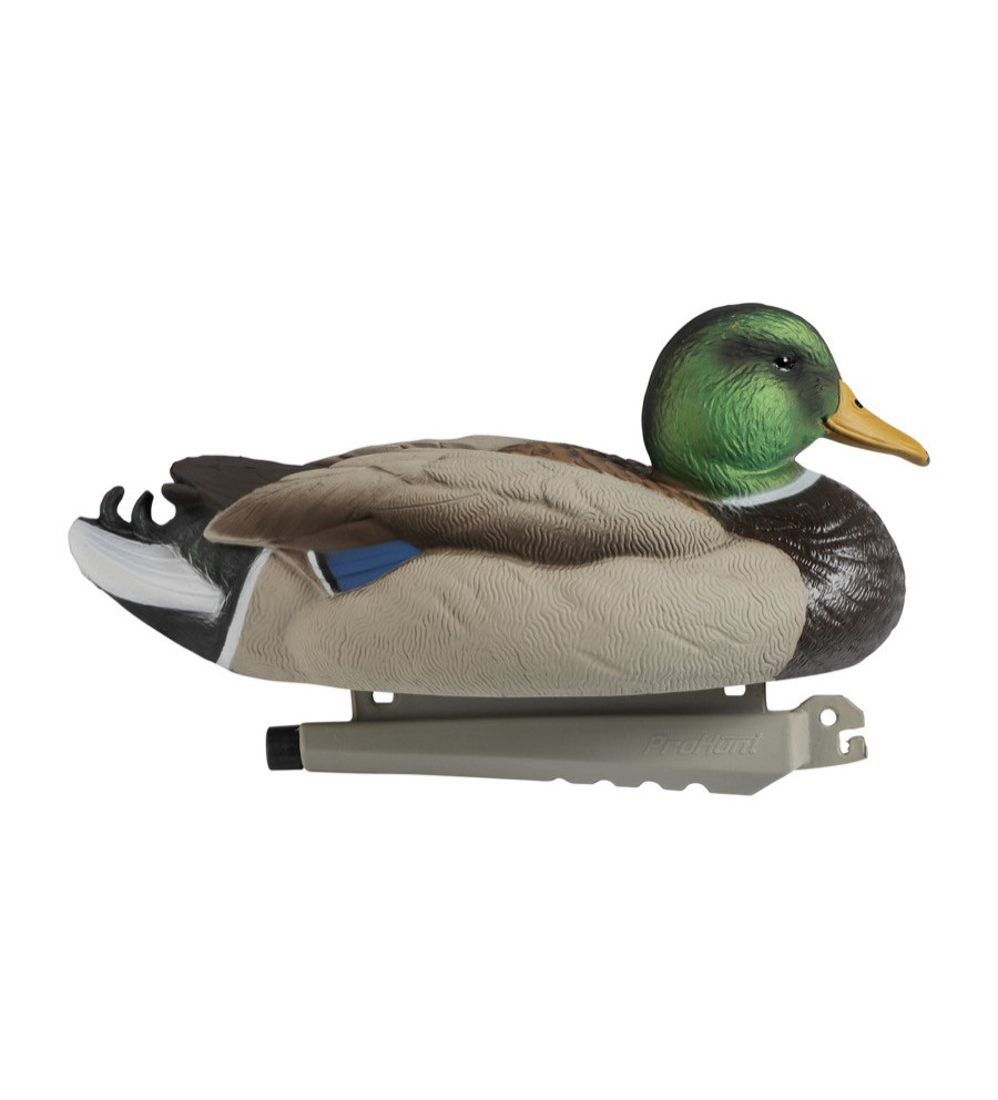 Forme de canard colvert male ultra HD mousse Stepland