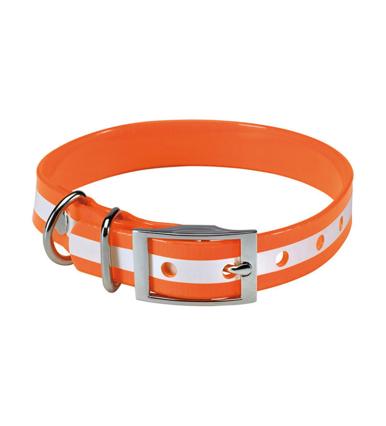 Collier chien phosphorescent 60 cm Stepland