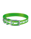 Collier chien phosphorescent 60 cm Stepland