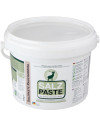 Pâte de sel - Seau de 2 kg - Fumée   