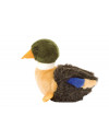 Peluche canard 