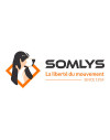 Somlys