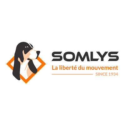 Somlys